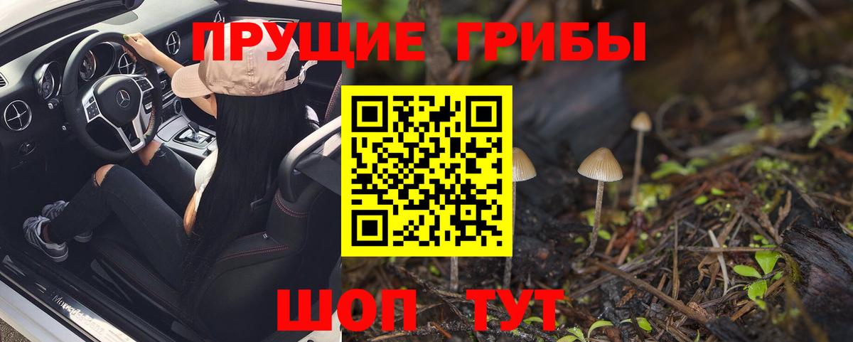 Псилоцибиновые грибы Psilocybine cubensis Самара