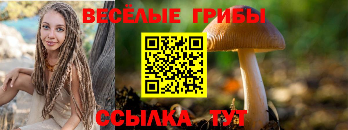 цены   Галлюциногенные грибы Magic Shrooms  Вход с VPN  Псилоцибиновые грибы прущие грибы  Самара 